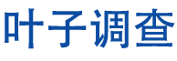 芜湖叶子私家侦探公司